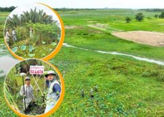សកម្មភាពការកំណត់និយាមកា និងបោះបង្គោលព្រំដីតាមបណ្តោយព្រែកជីកហ្វូណនតេជោ សម្រាប់កំណាត់ទី២ ក្នុងភូមិសាស្រ្តខេត្តកំពត